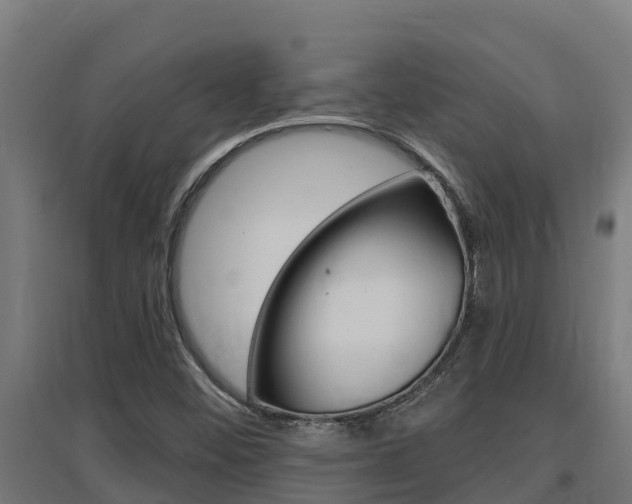 X0000097671452200802290934