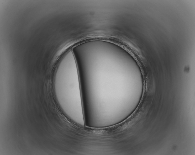 X0000097671453200802290934