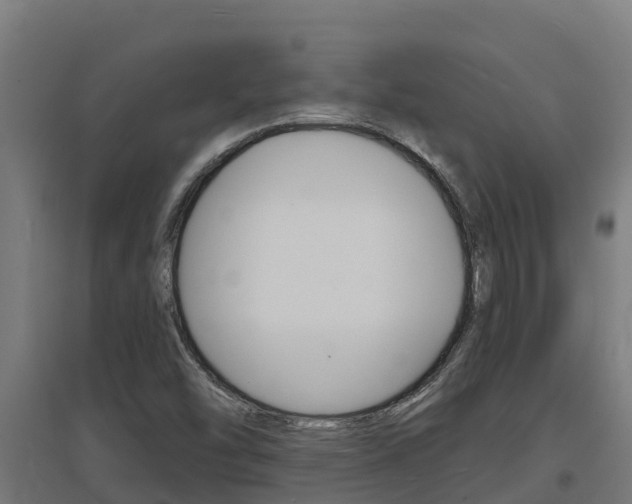 X0000097671454200802290934
