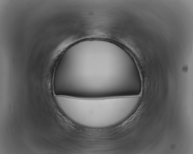 X0000097671455200802290934