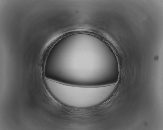 X0000097671456200802290934