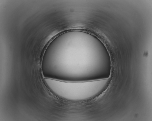 X0000097671457200802290934
