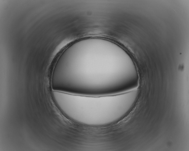 X0000097671458200802290934