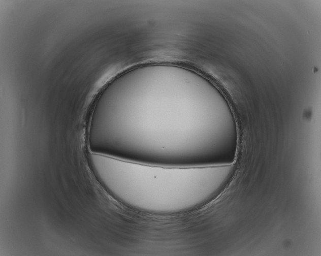 X0000097671459200802290934