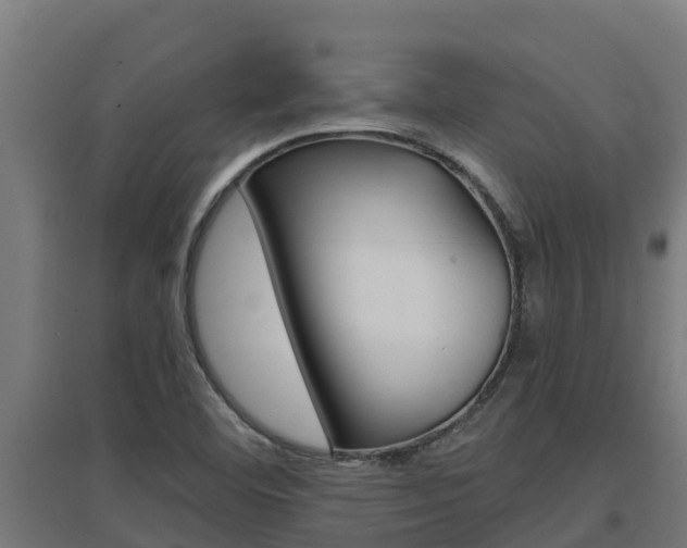X0000097671460200802290934