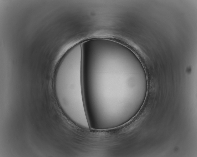 X0000097671461200802290934