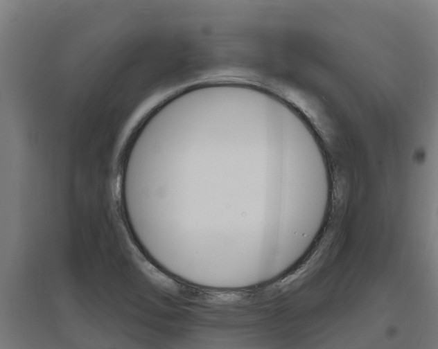 X0000097671462200802290934