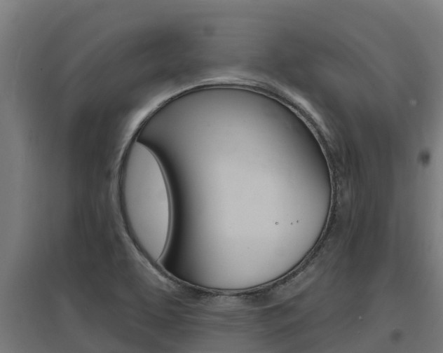 X0000097671463200802290934