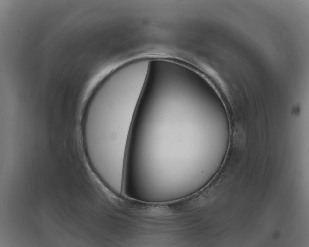 X0000097671464200802290934