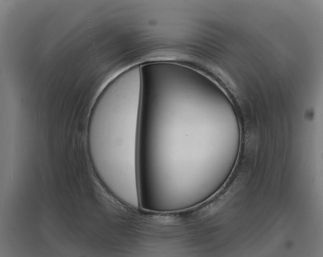 X0000097671465200802290934