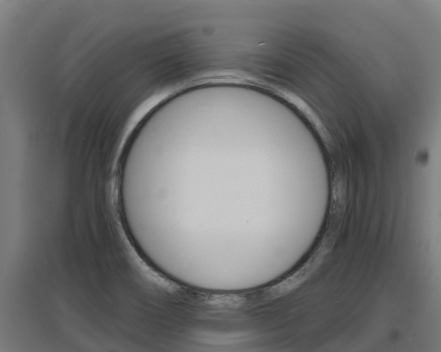 X0000097671466200802290934