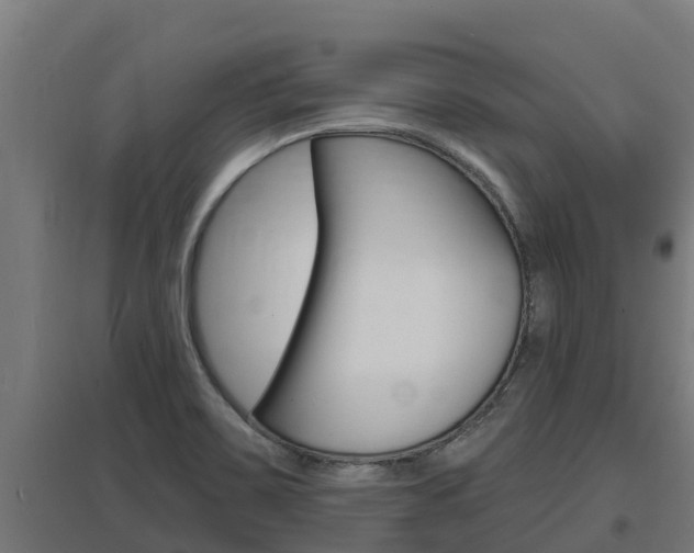 X0000097671467200802290934