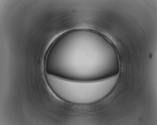 X0000097671468200802290934