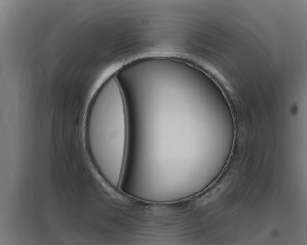 X0000097671469200802290934