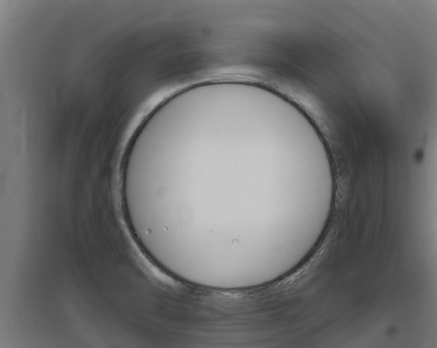 X0000097671470200802290934