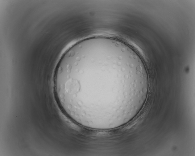 X0000097671471200802290934