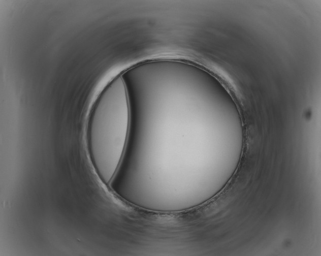X0000097671472200802290934