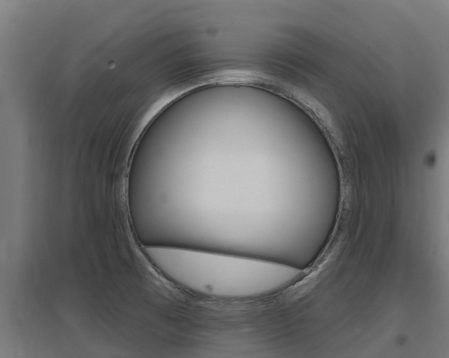 X0000097671473200802290934