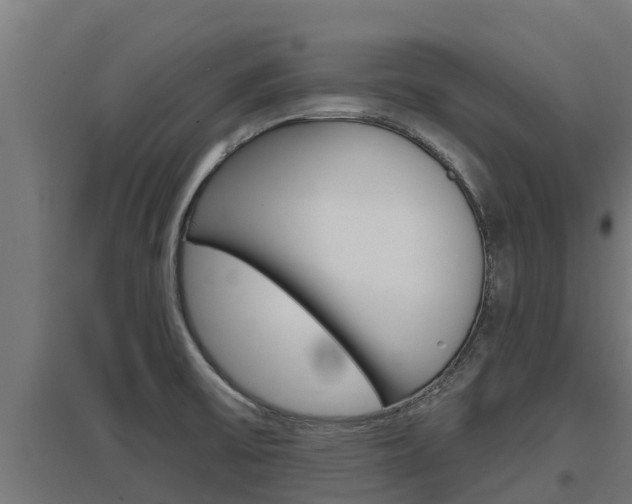 X0000097671475200802290934