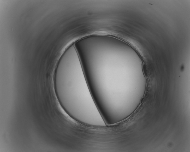 X0000097671476200802290934