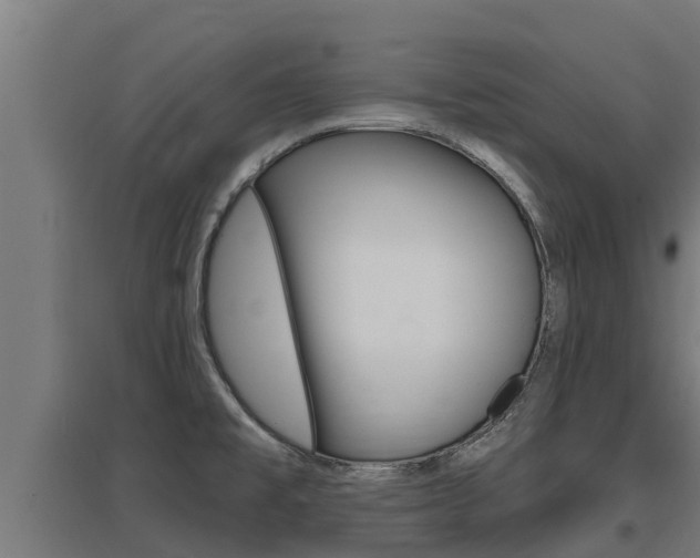 X0000097671477200802290934