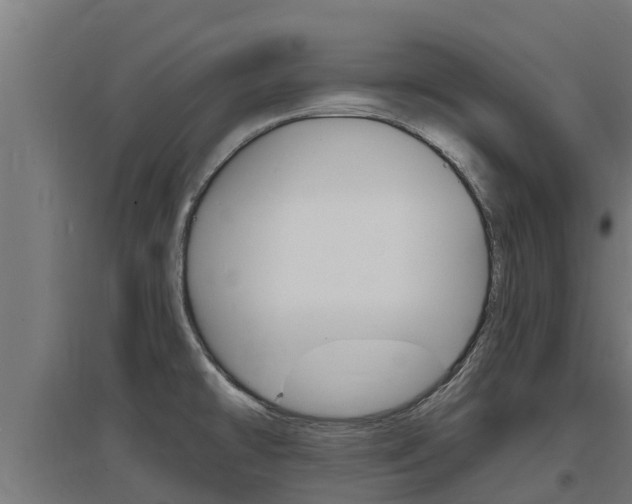 X0000097671478200802290934