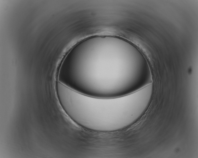X0000097671480200802290934