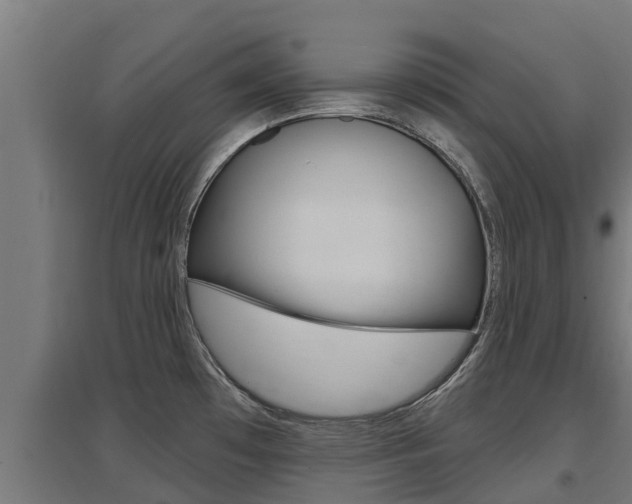 X0000097671481200802290934