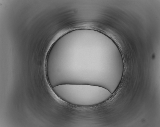 X0000097671482200802290934