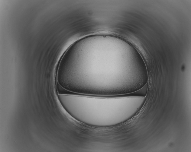 X0000097671483200802290934