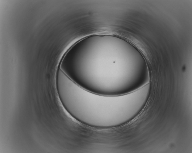 X0000097671484200802290934