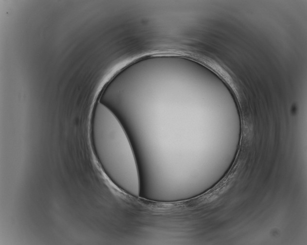 X0000097671485200802290934