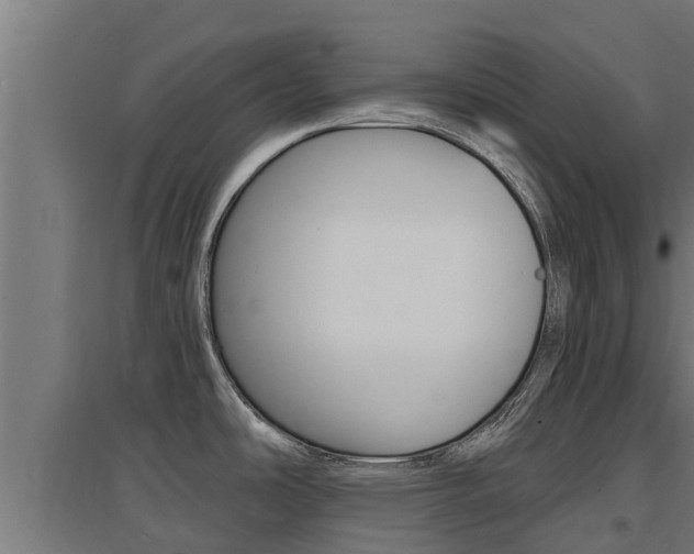 X0000097671486200802290934