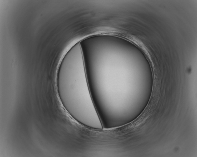 X0000097671488200802290934