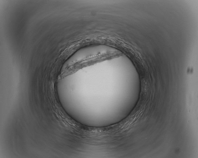 X0000097671489200802290933