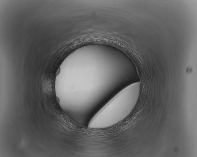 X0000097671490200802290933