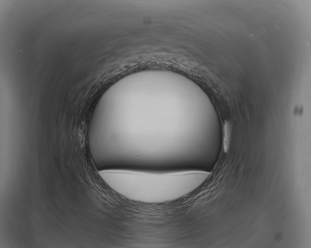 X0000097671491200802290933
