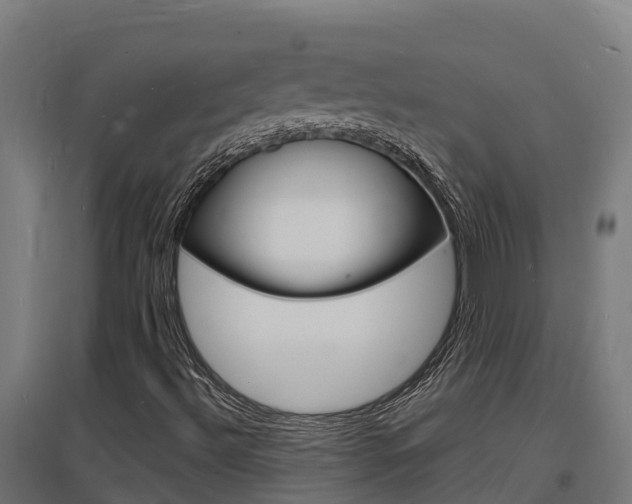 X0000097671492200802290933