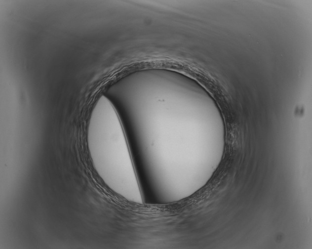X0000097671493200802290933