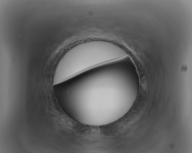 X0000097671495200802290933