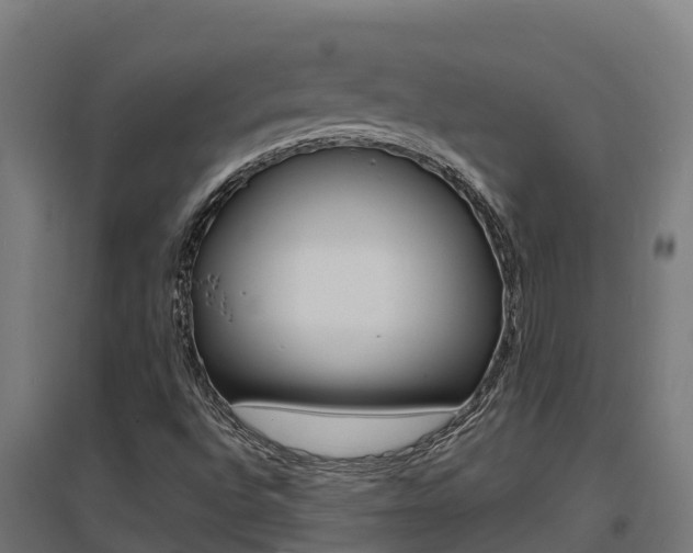 X0000097671496200802290933