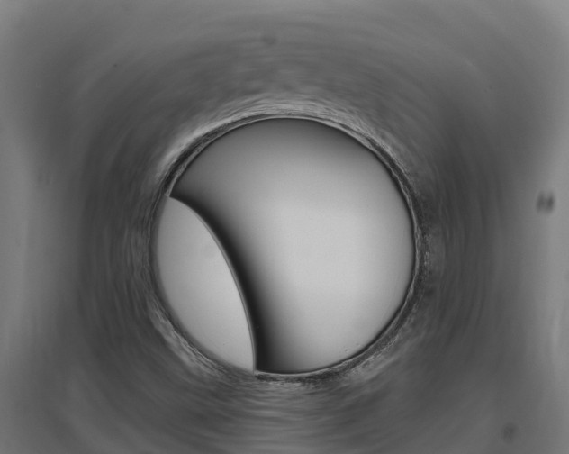X0000097671499200802290933