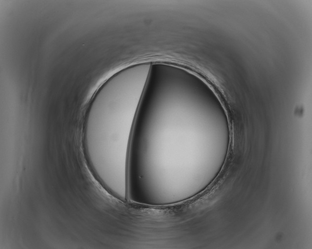 X0000097671500200802290933
