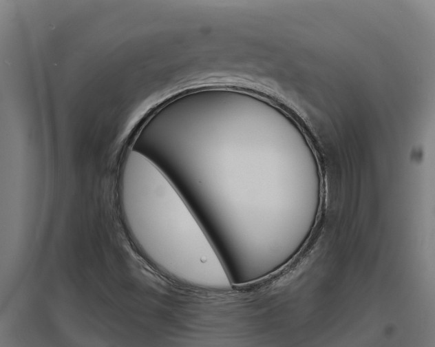 X0000097671501200802290933