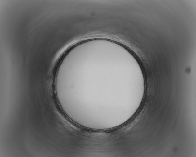 X0000097671502200802290933