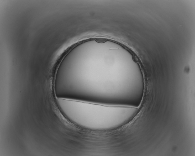 X0000097671503200802290933