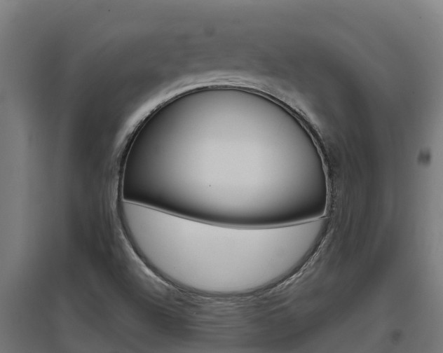 X0000097671504200802290933
