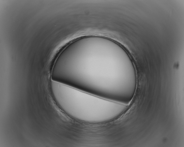 X0000097671507200802290933
