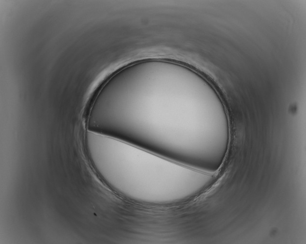 X0000097671509200802290933