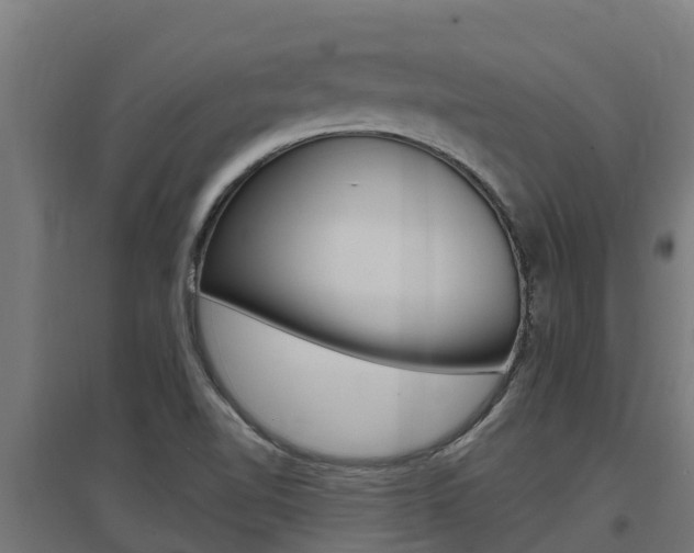 X0000097671510200802290933